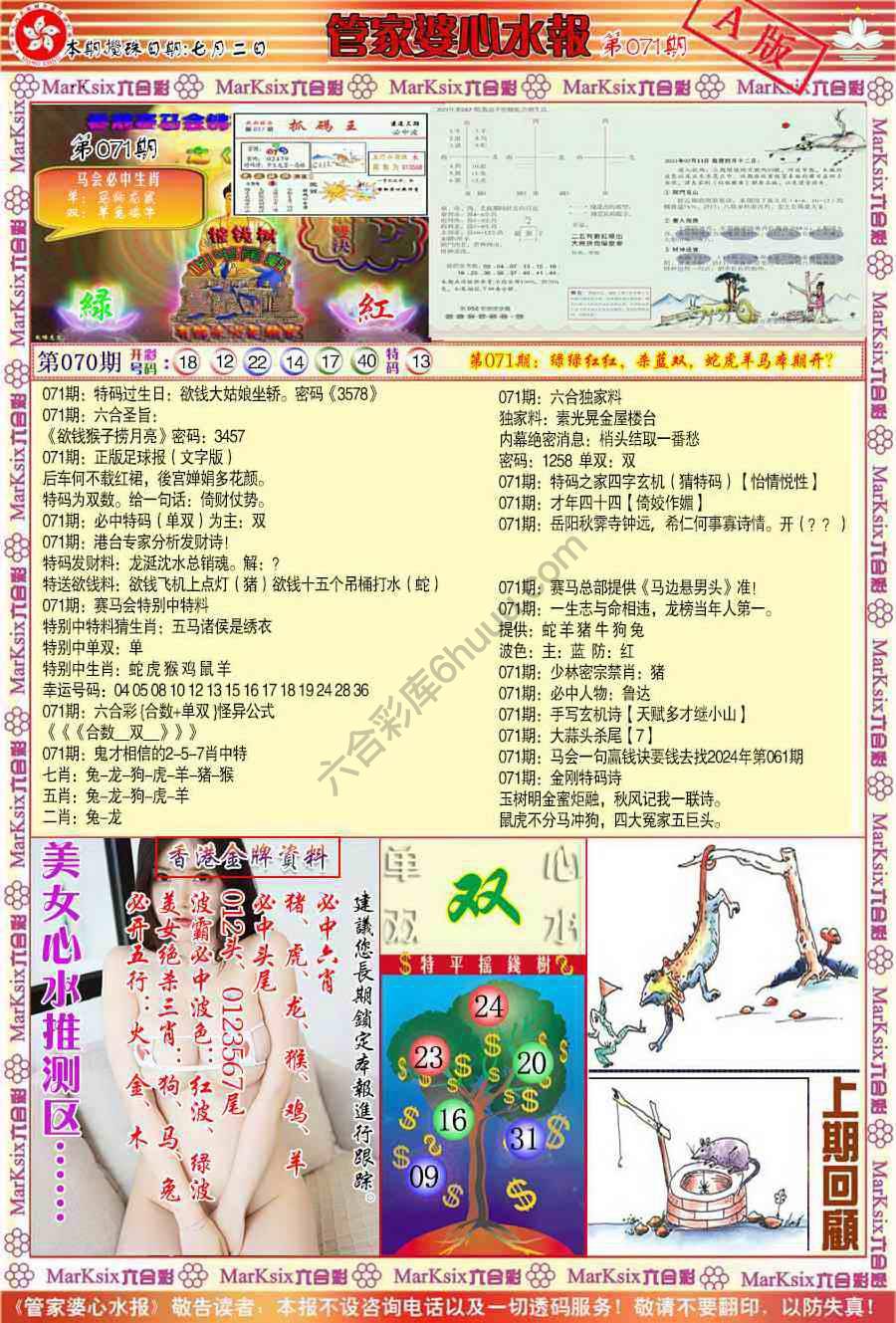 管家婆心水报