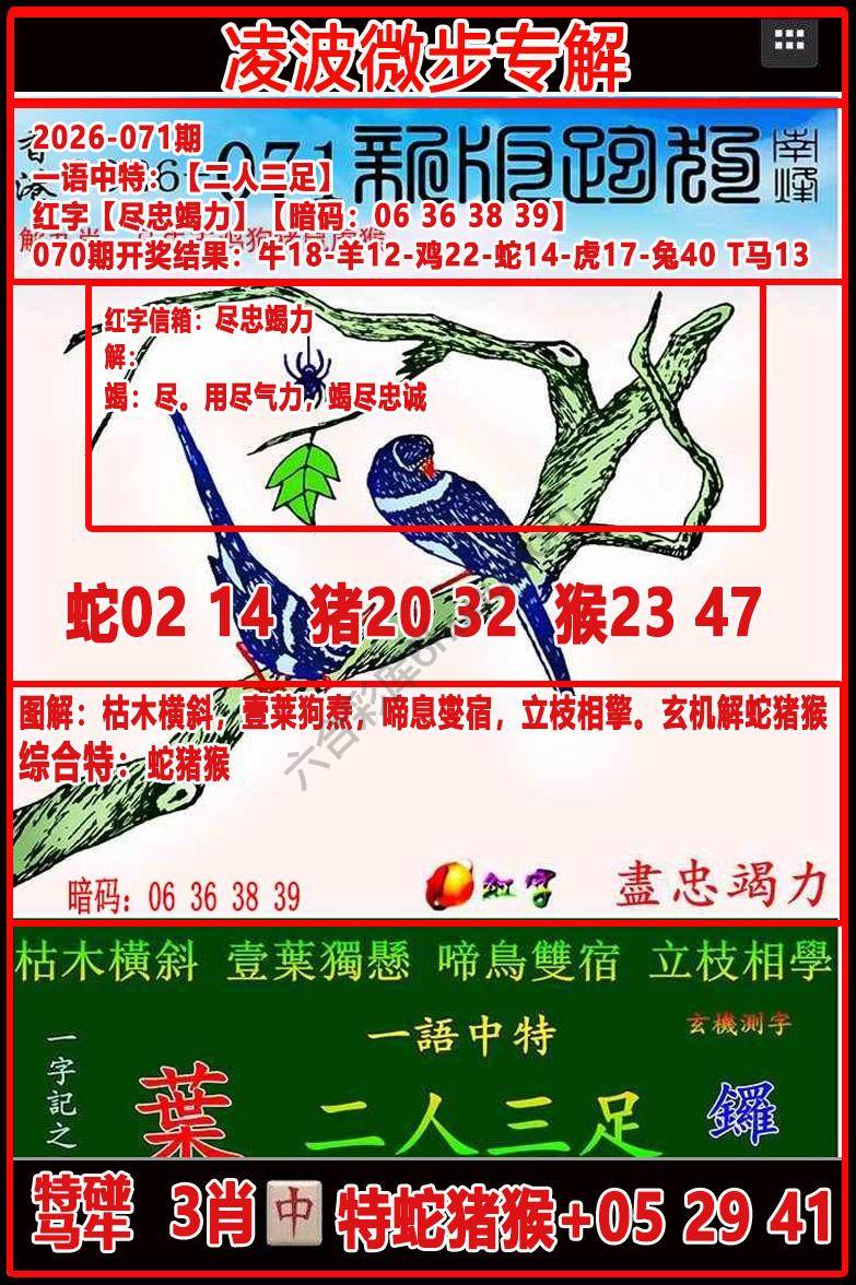 凌波微步解跑狗