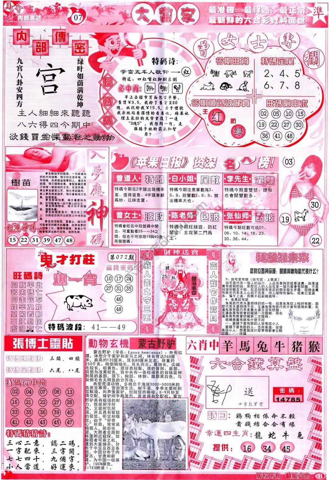 大当家