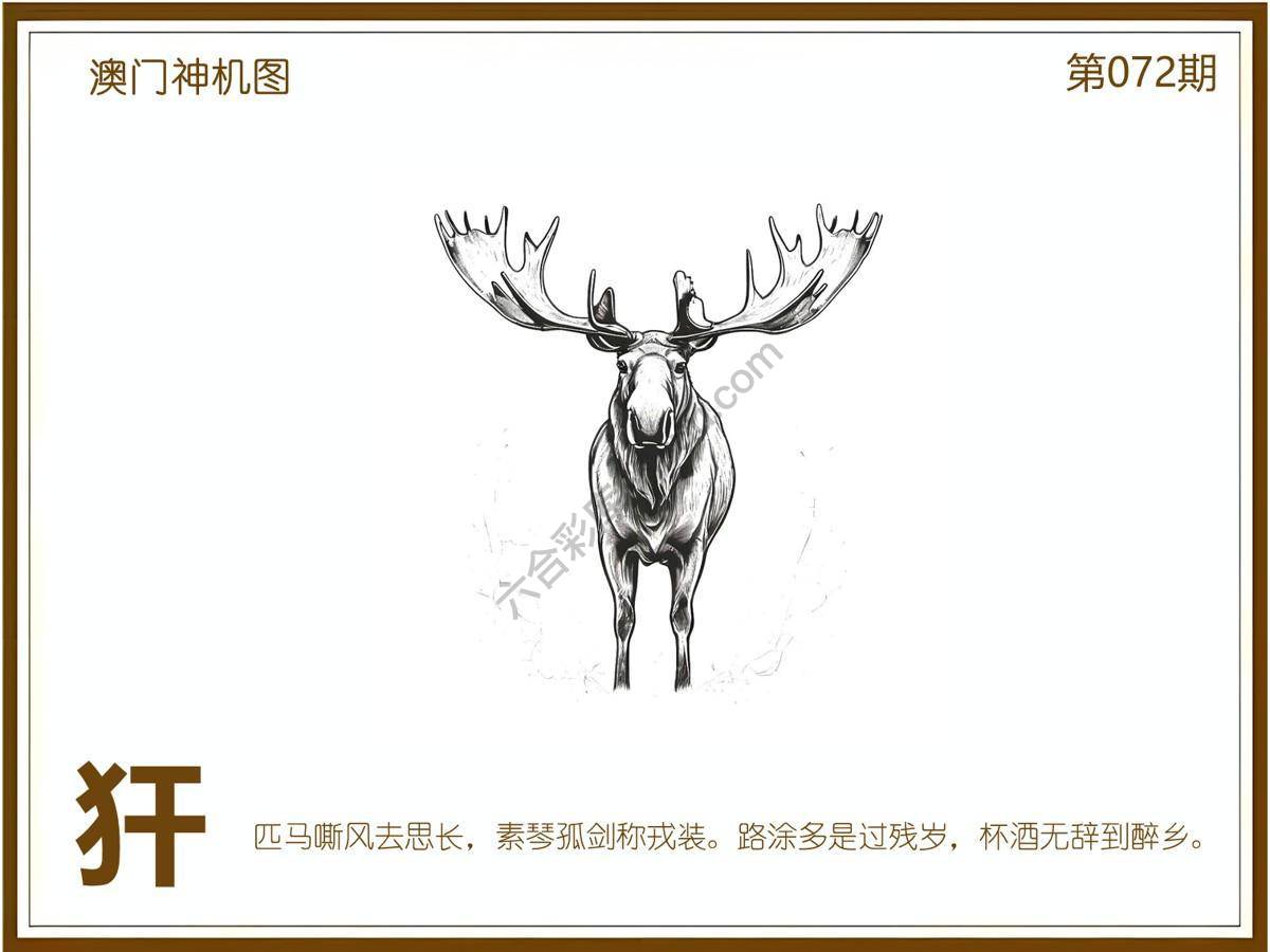 澳门神机图