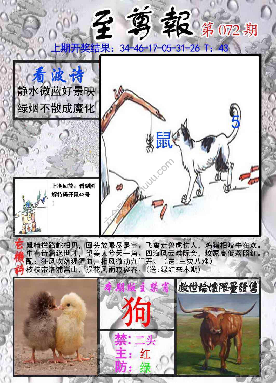 至尊报