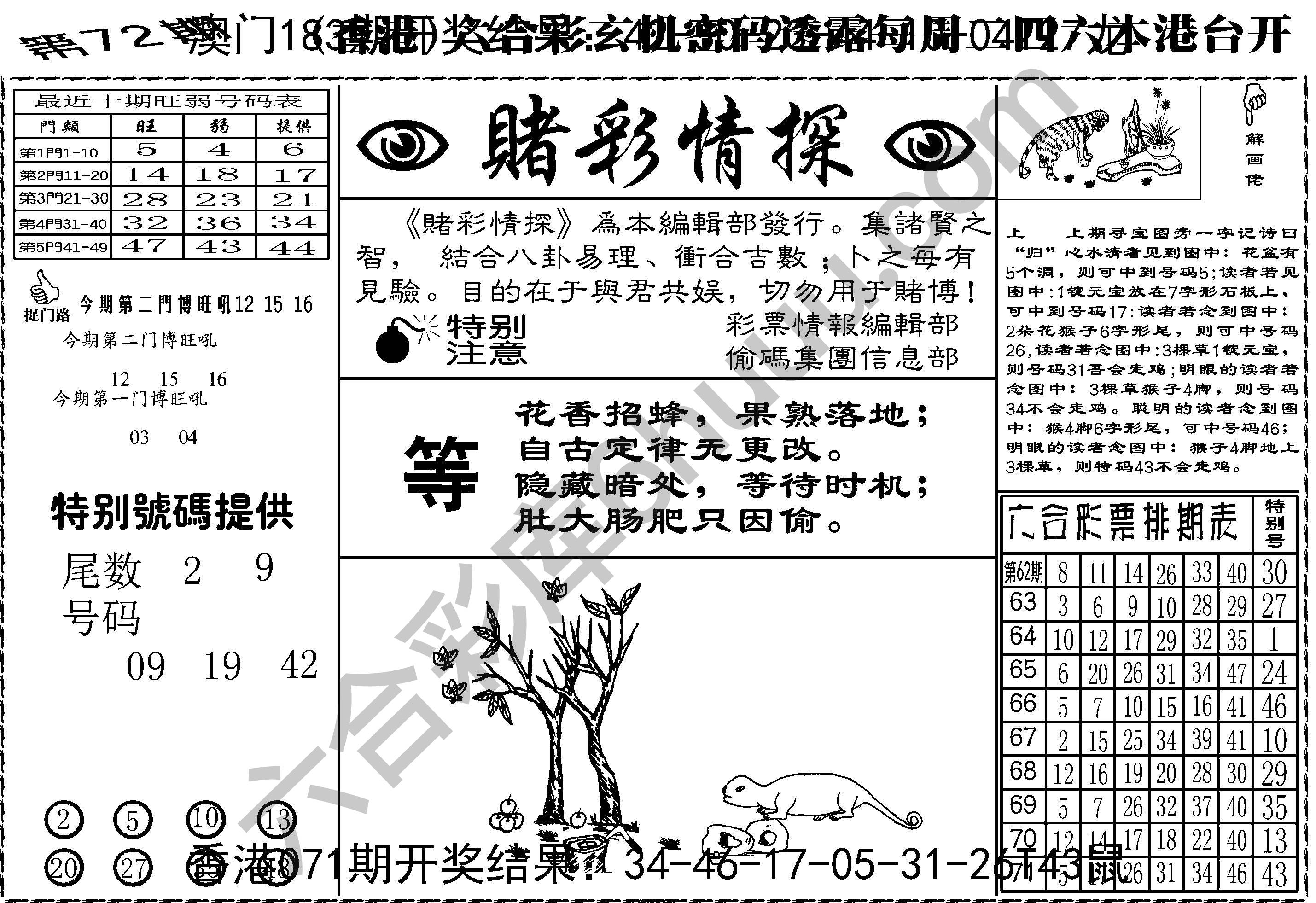 赌彩情探