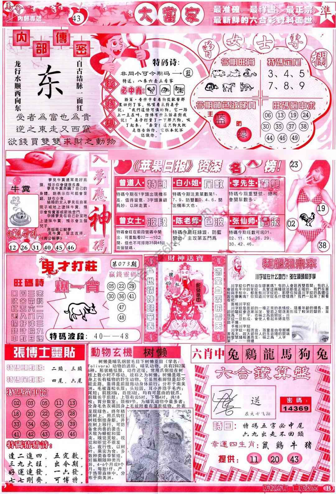 大当家