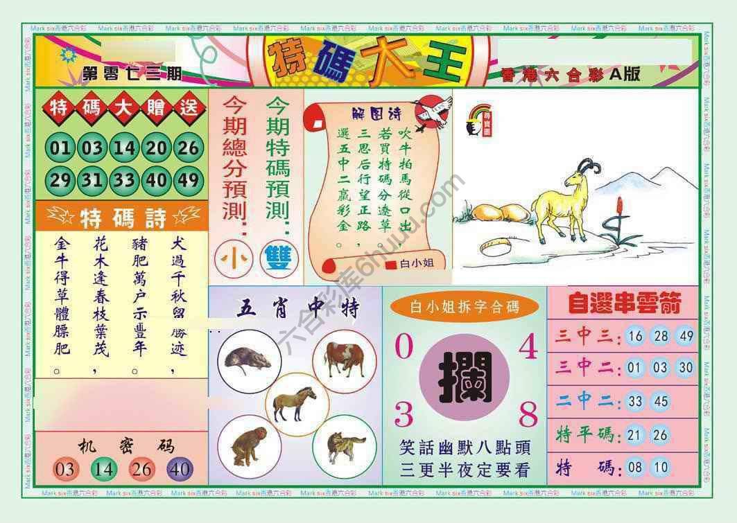 特码大王