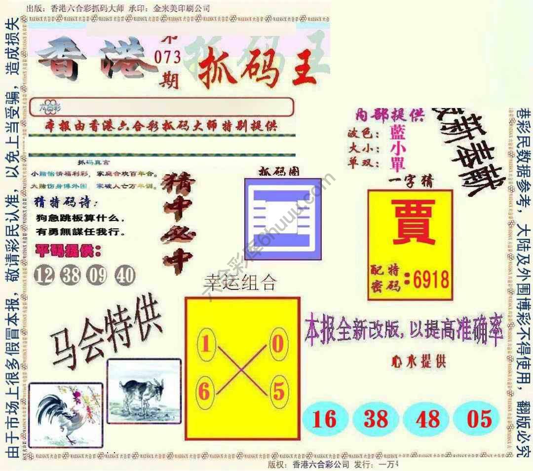 新抓码王