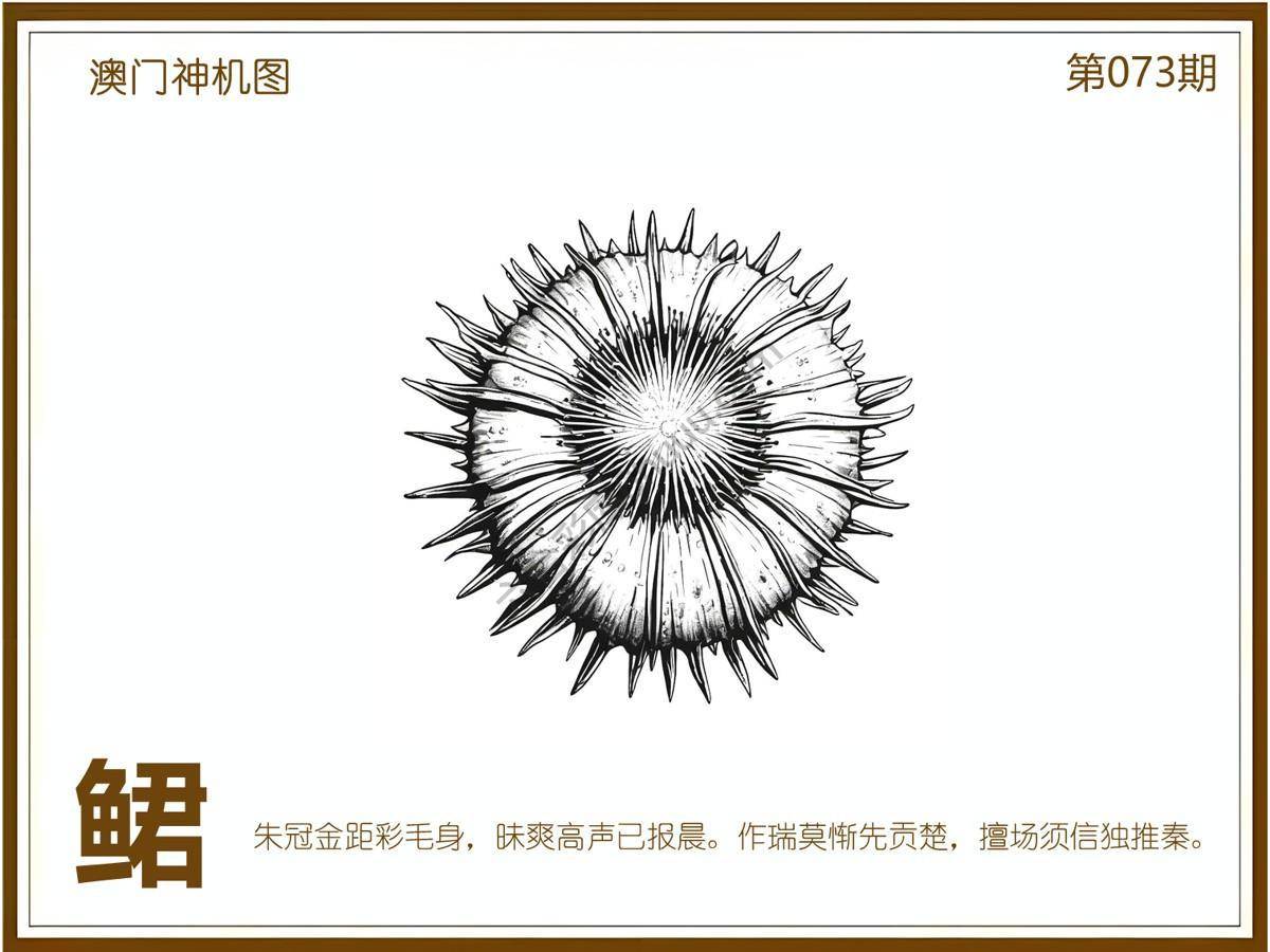 澳门神机图