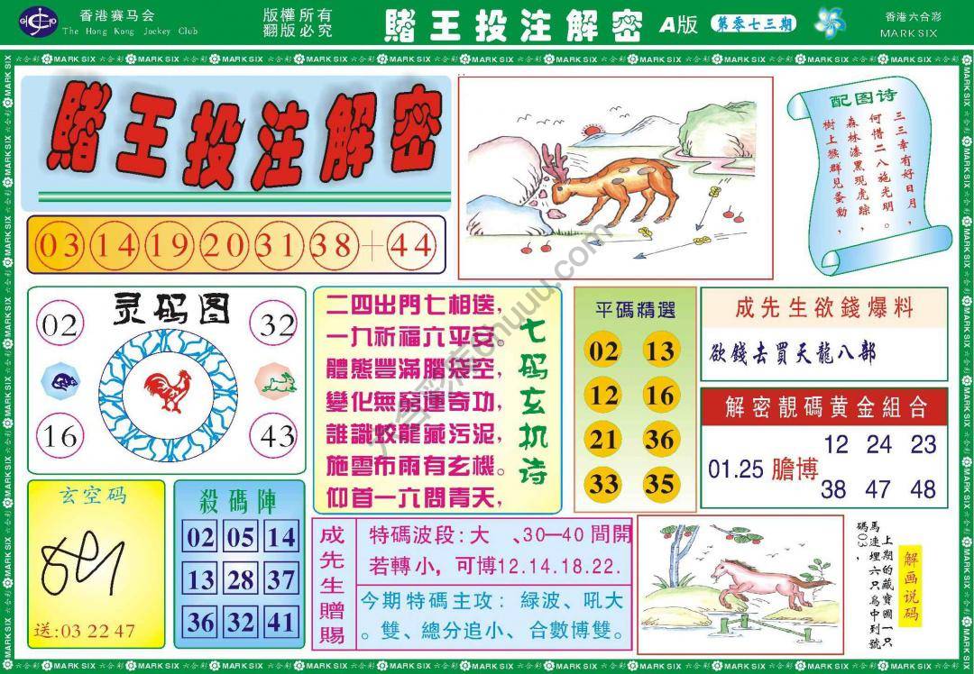 赌王投注解密