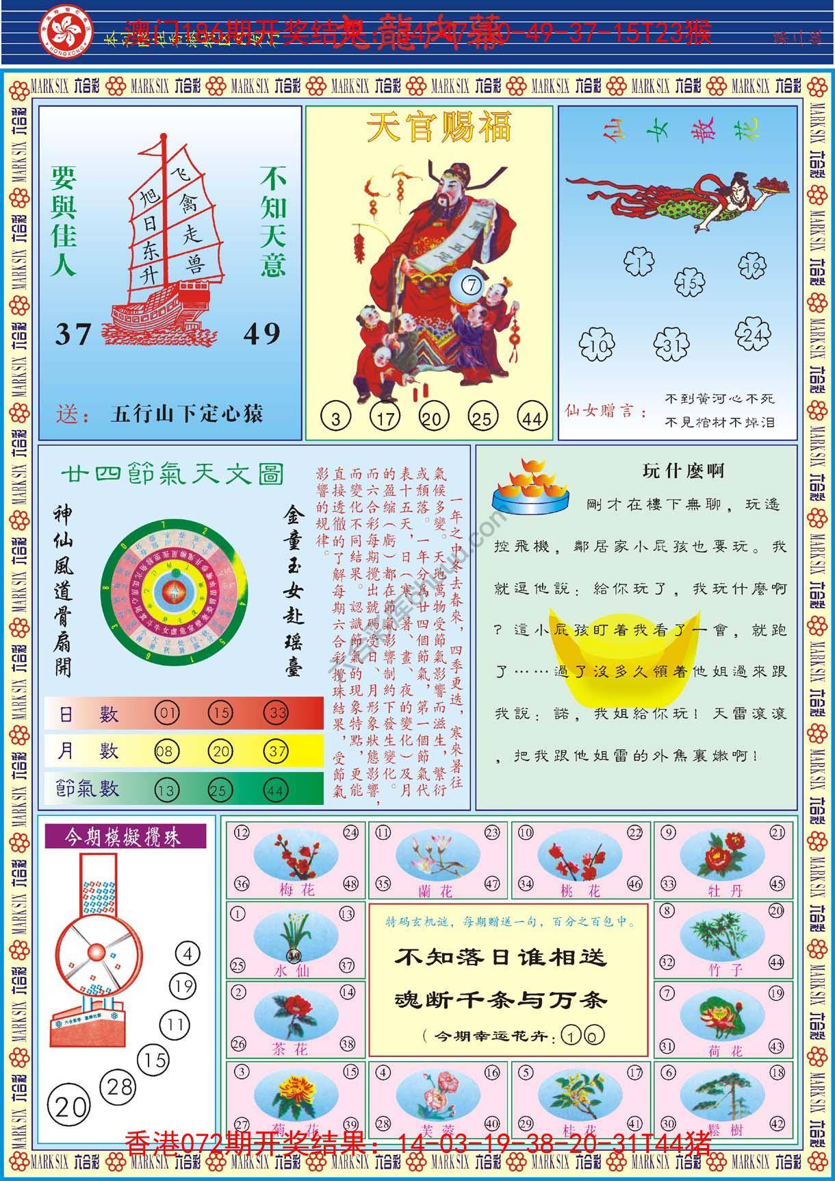 九龙内幕