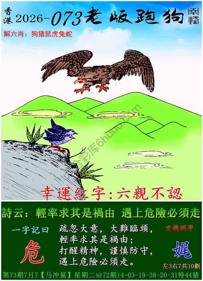 老版跑狗图