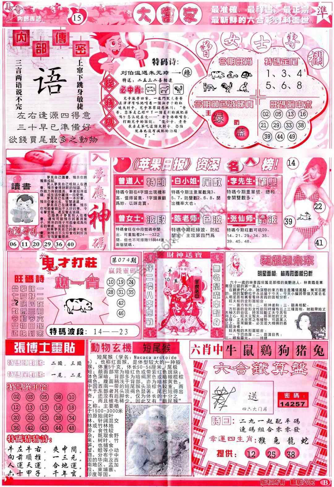 大当家