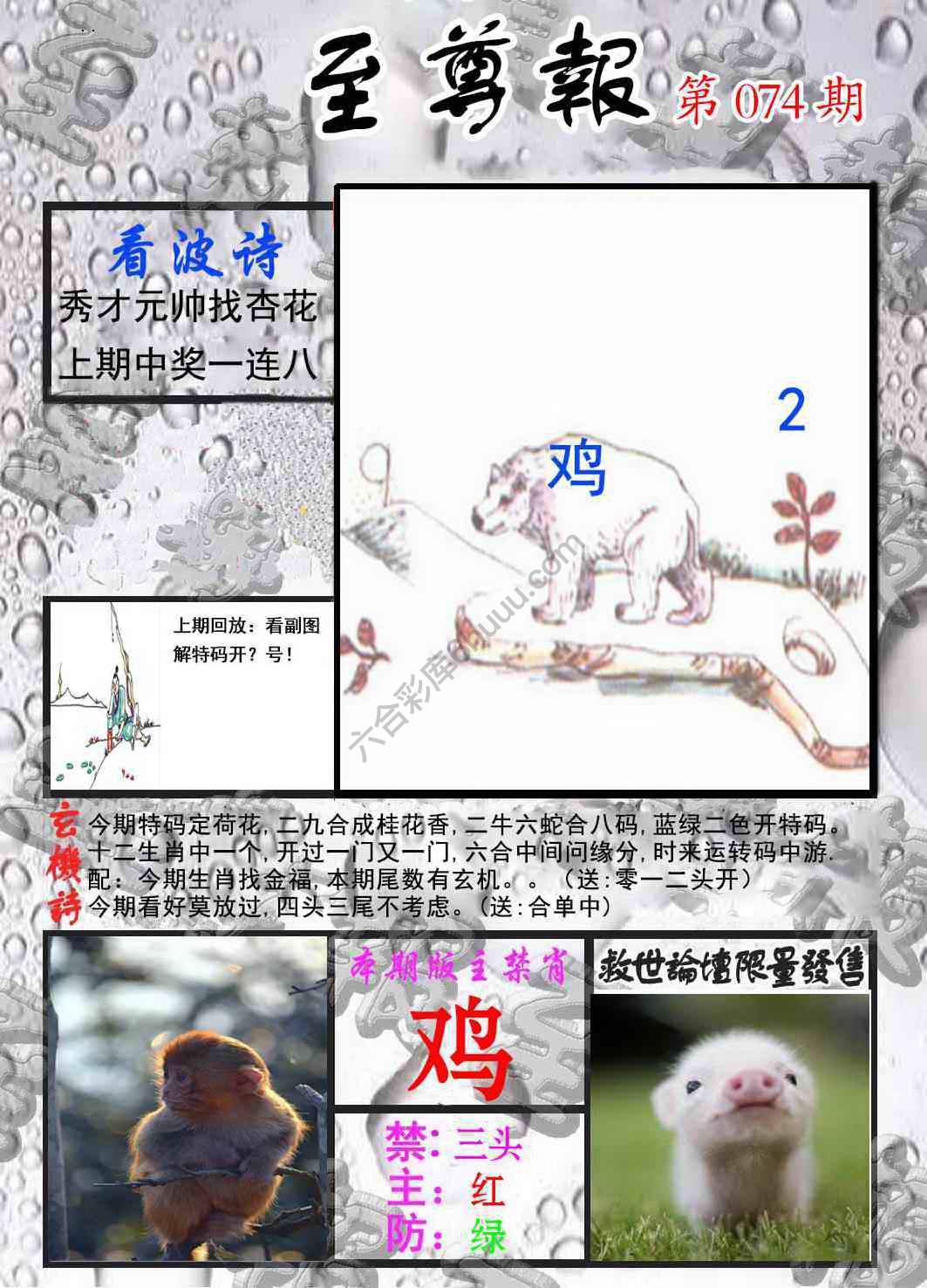 至尊报