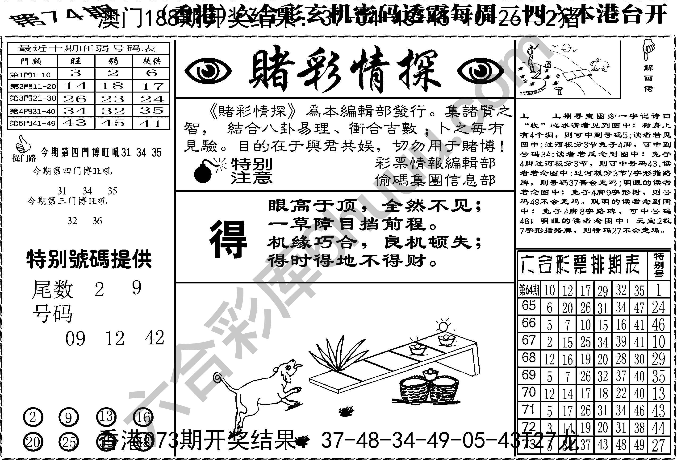 赌彩情探