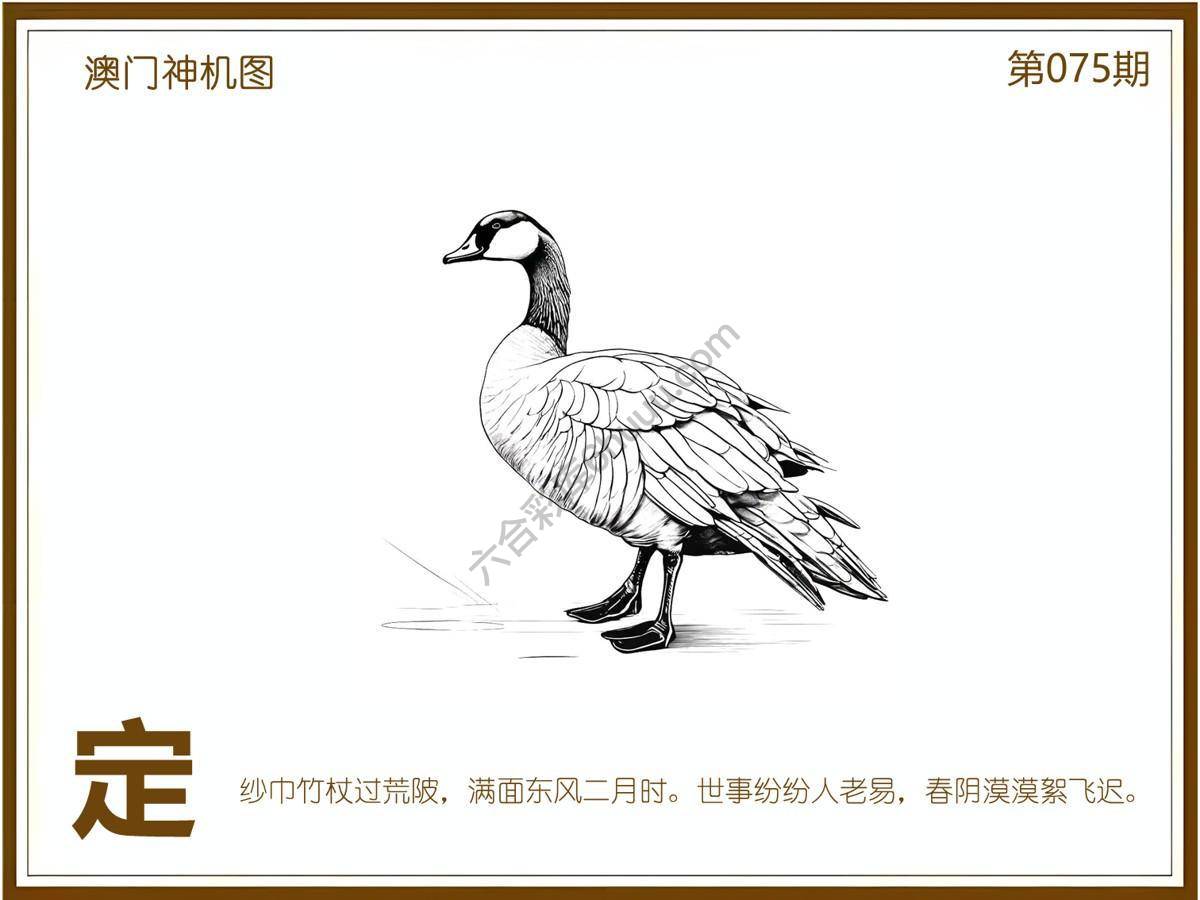 澳门神机图