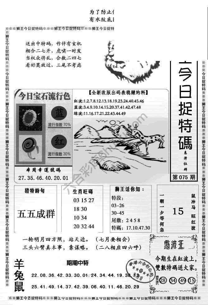 狮王今日抓特码