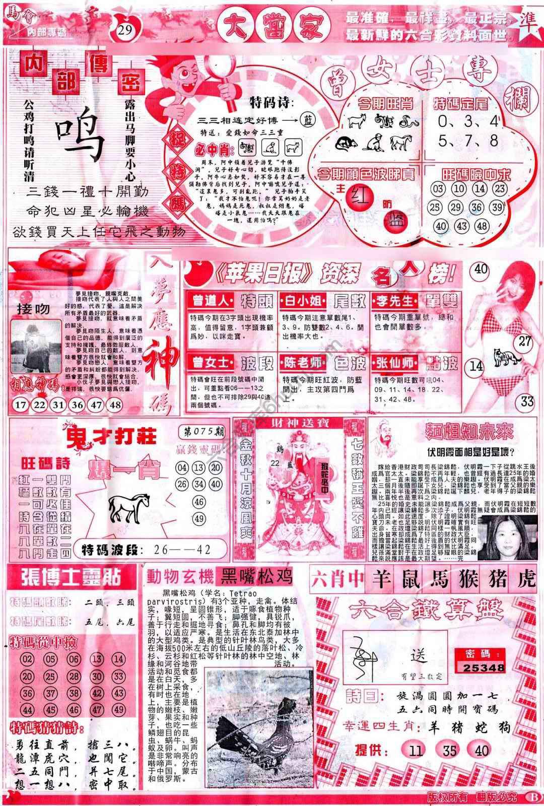 大当家