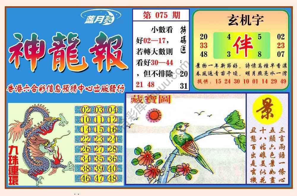 蓝月亮神龙报