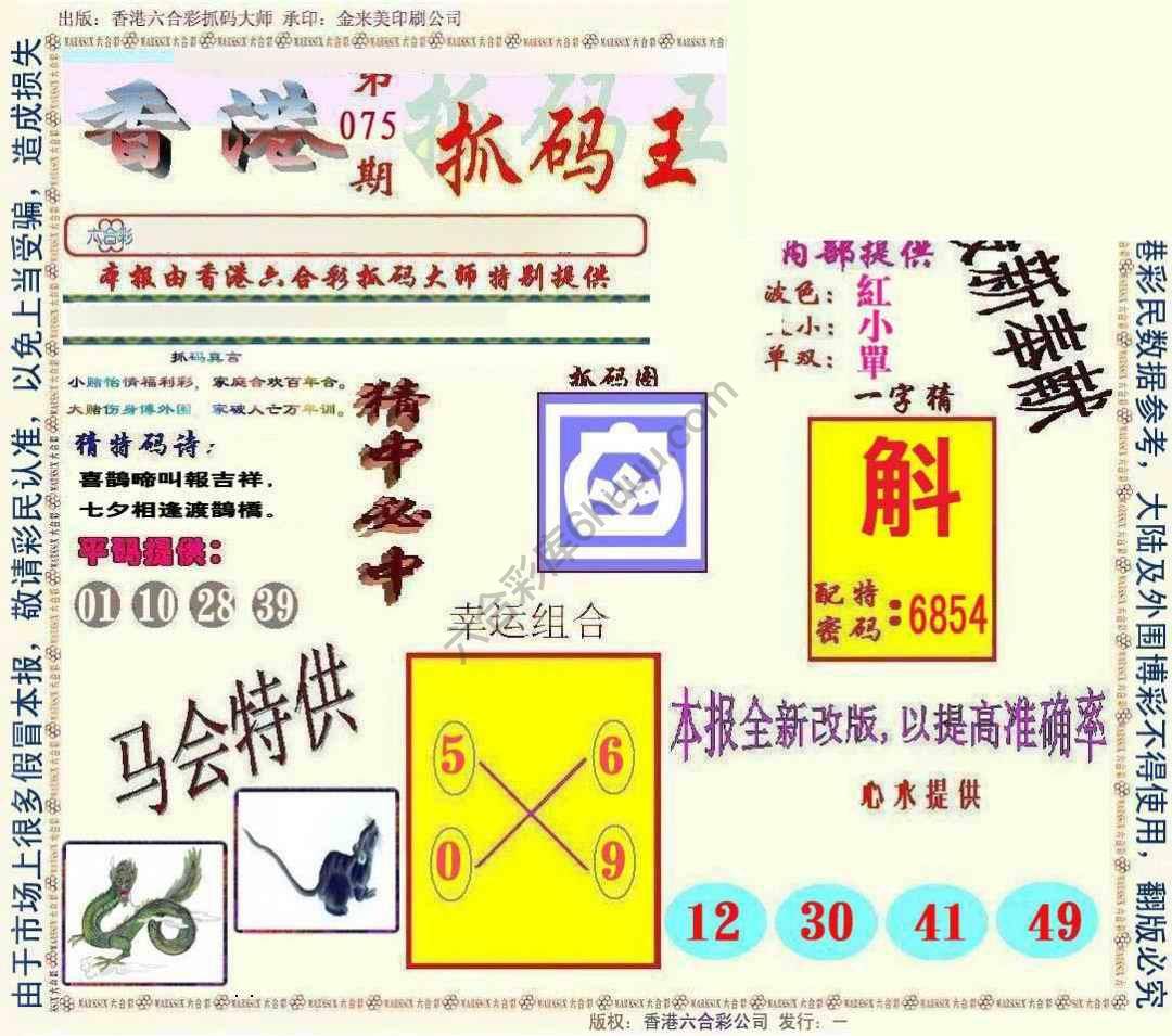 新抓码王