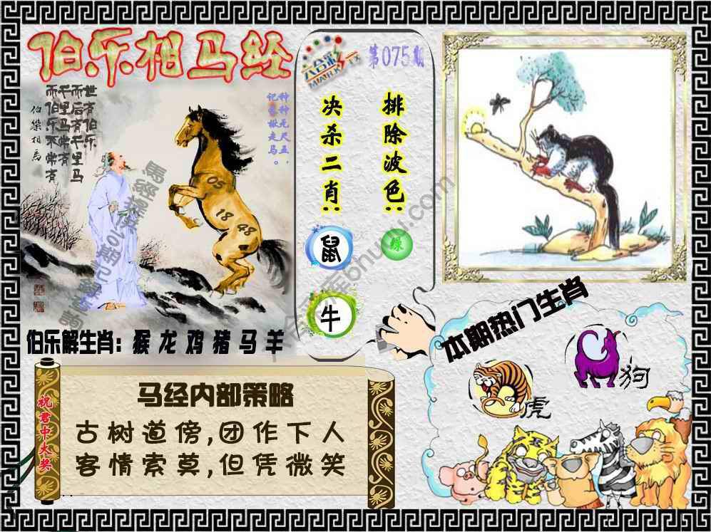 伯乐相马经