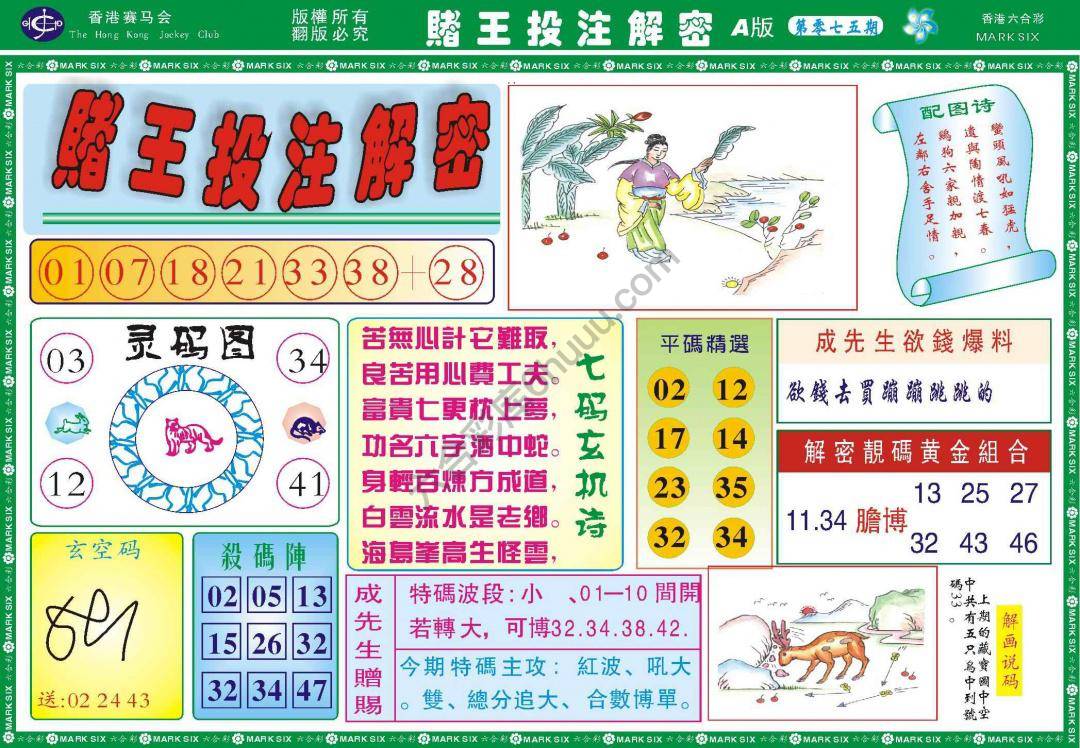 赌王投注解密