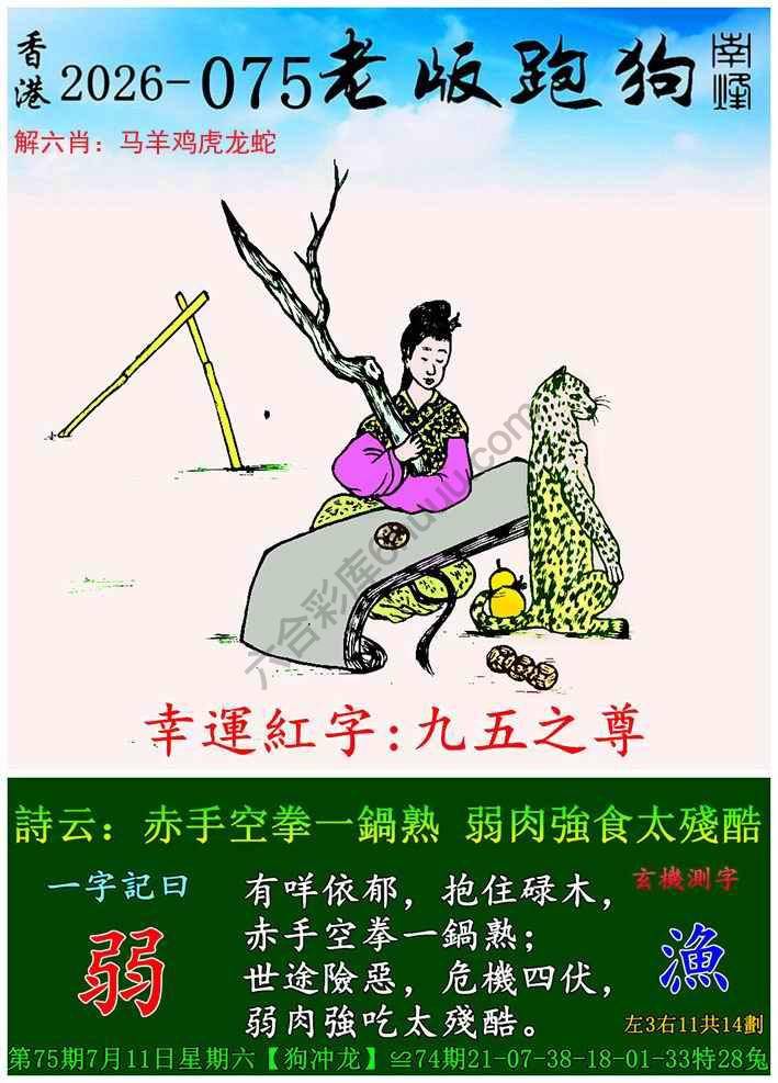 老版跑狗图