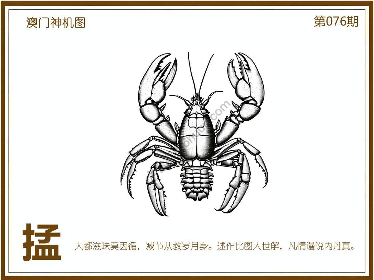 澳门神机图