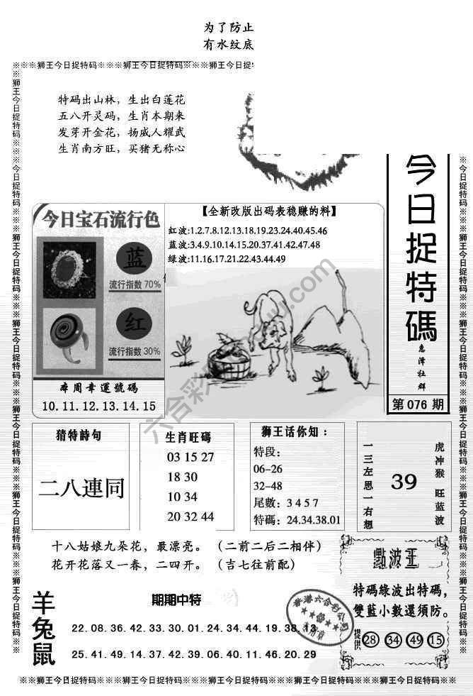 狮王今日抓特码