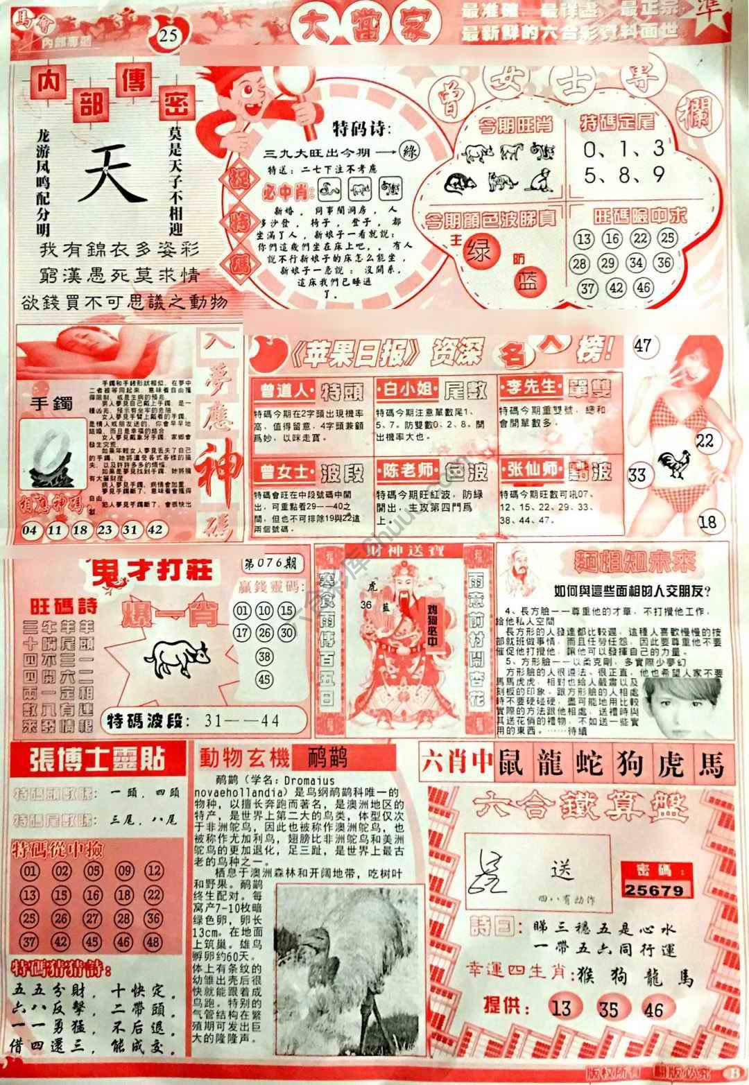 大当家