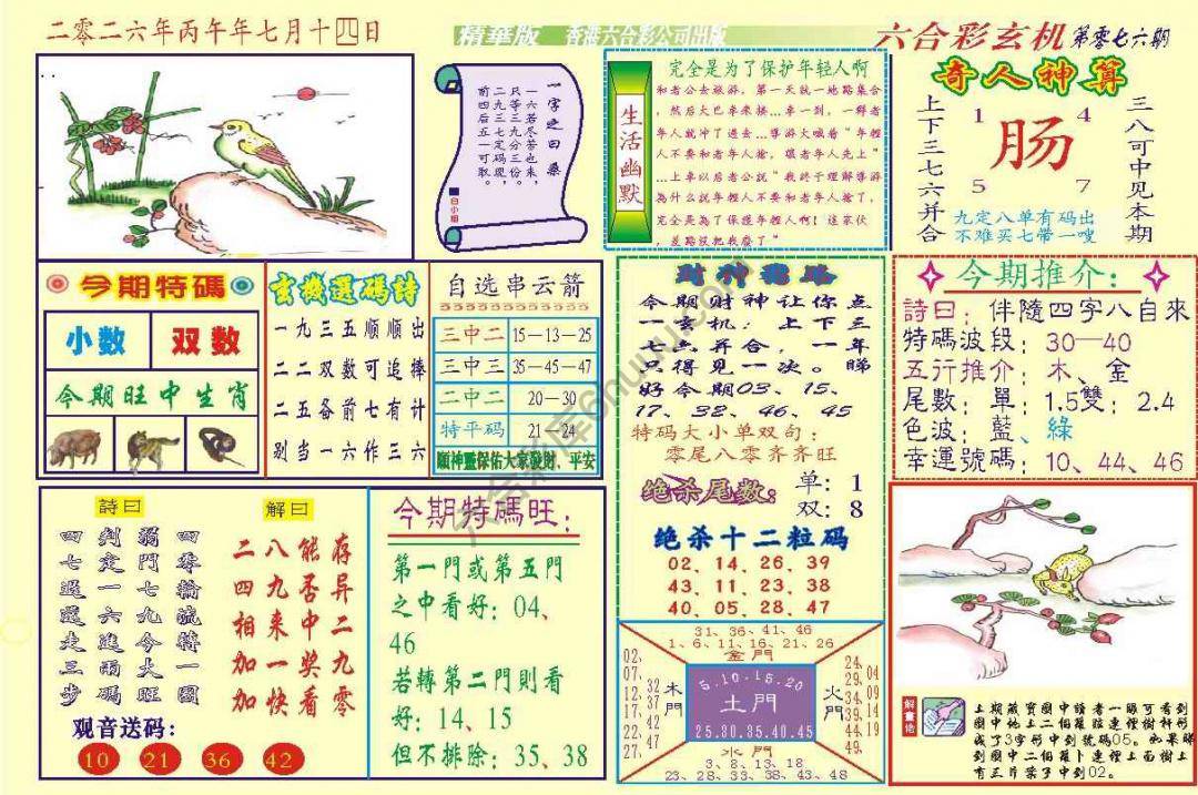 六合玄机(精华版)