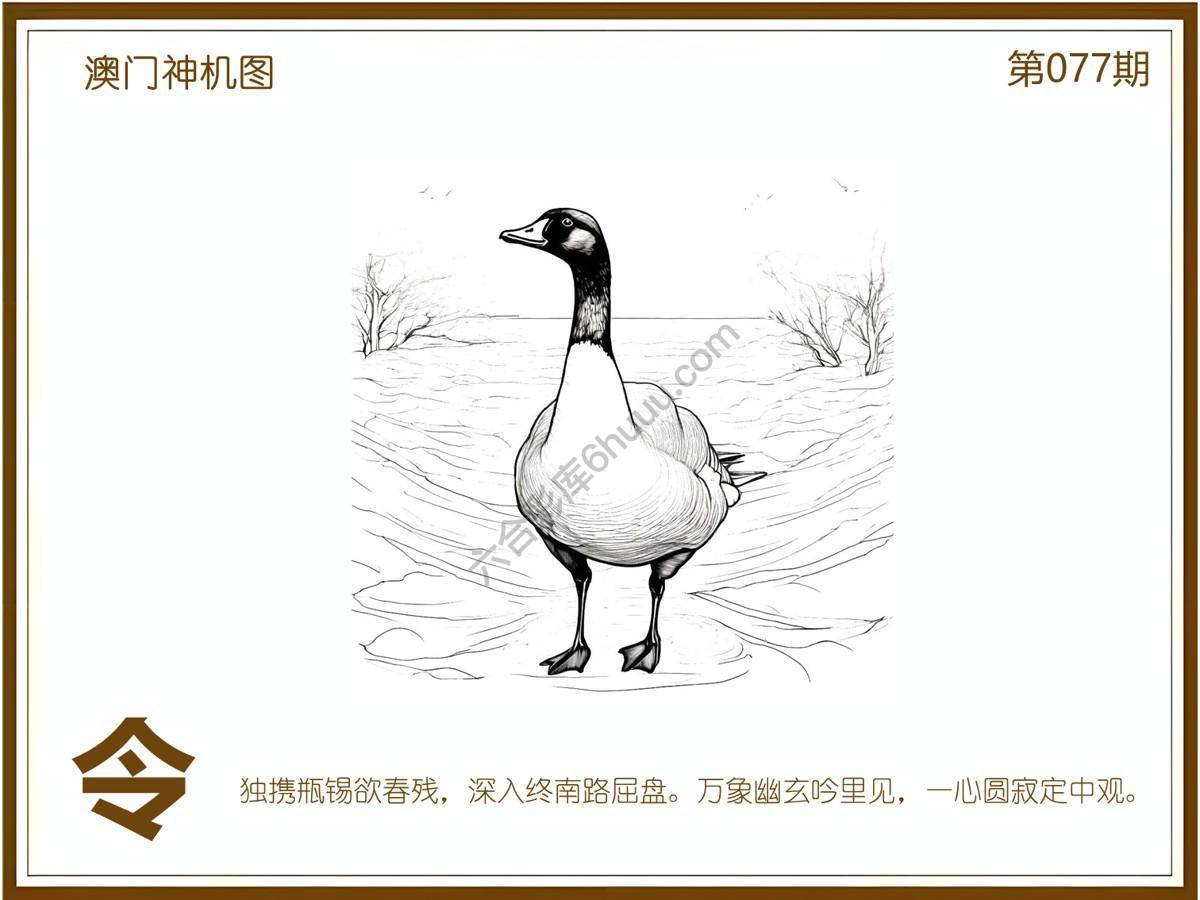 澳门神机图