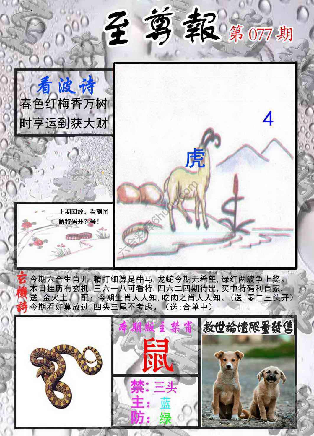 至尊报