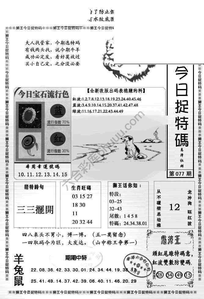 狮王今日抓特码
