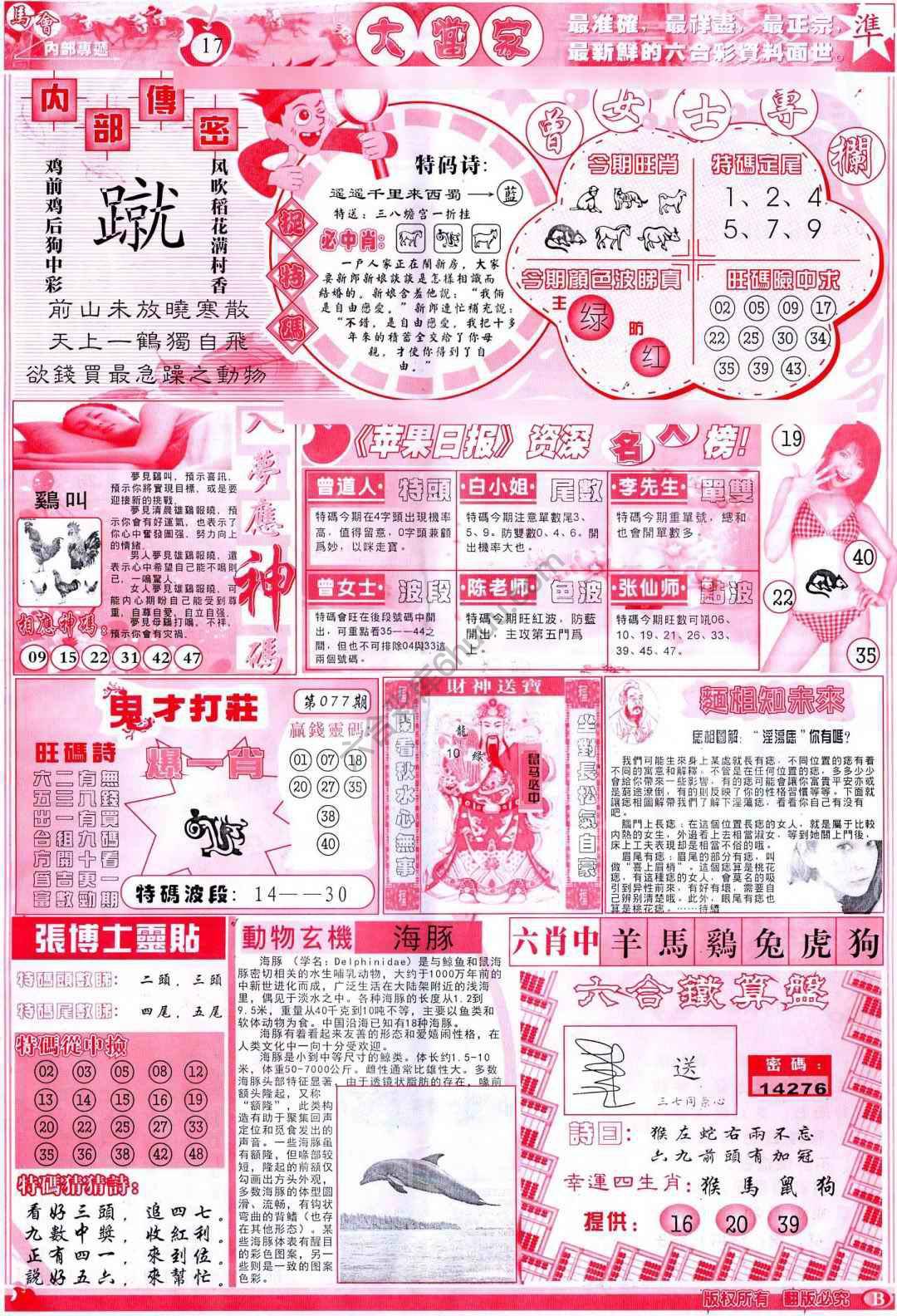 大当家