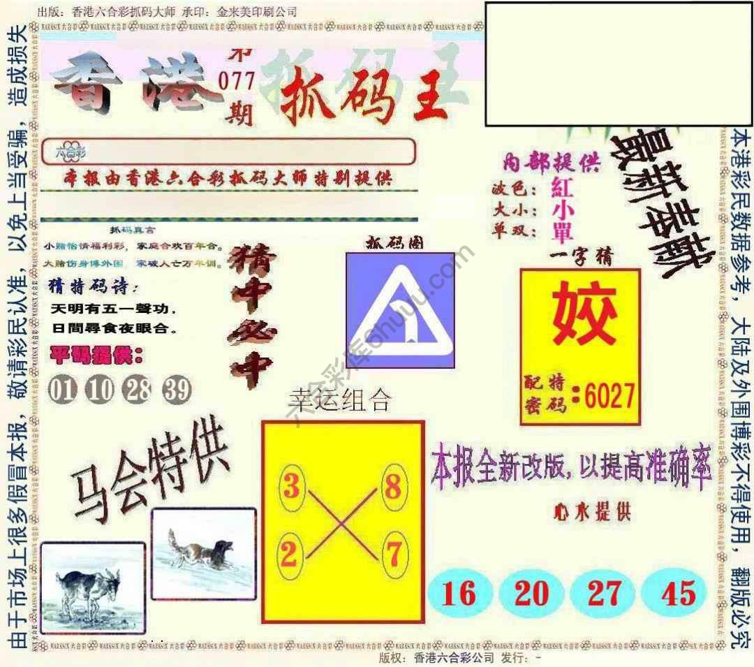 新抓码王