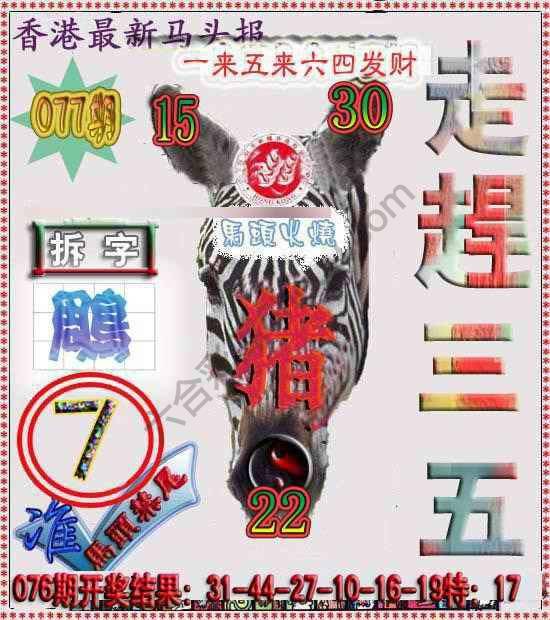 香港马头报