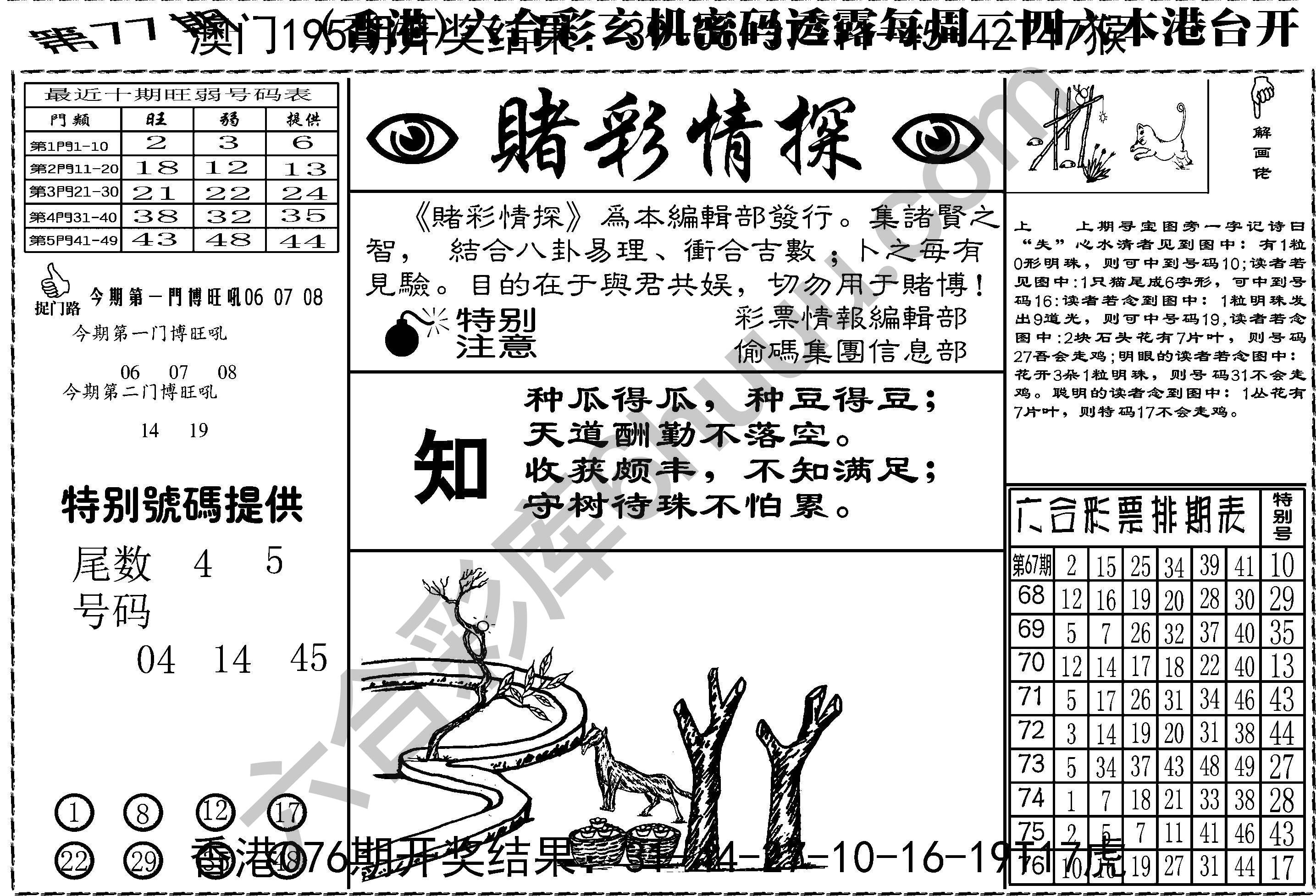 赌彩情探