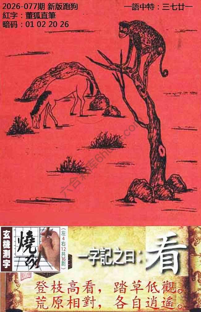高清跑狗图