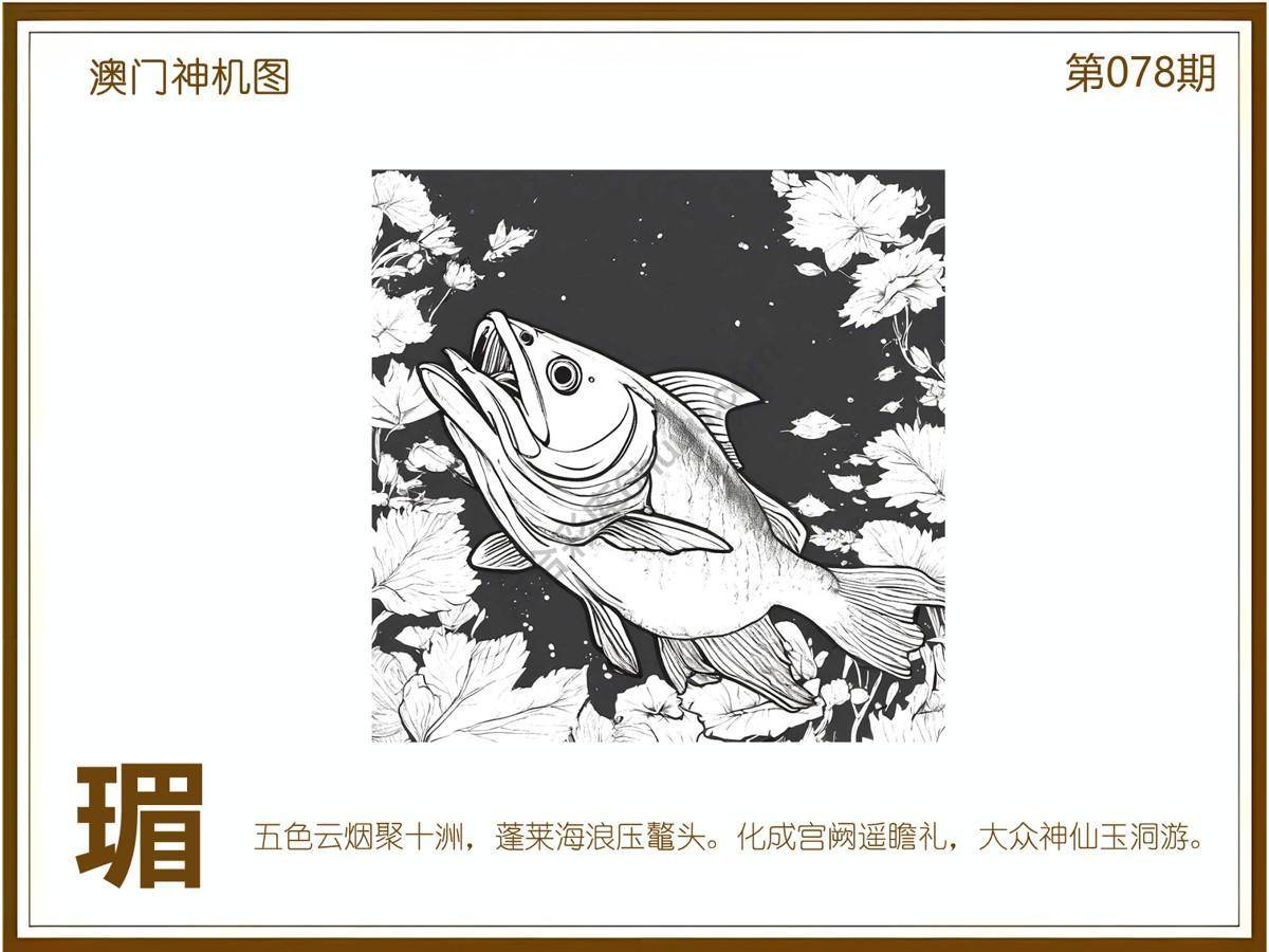 澳门神机图