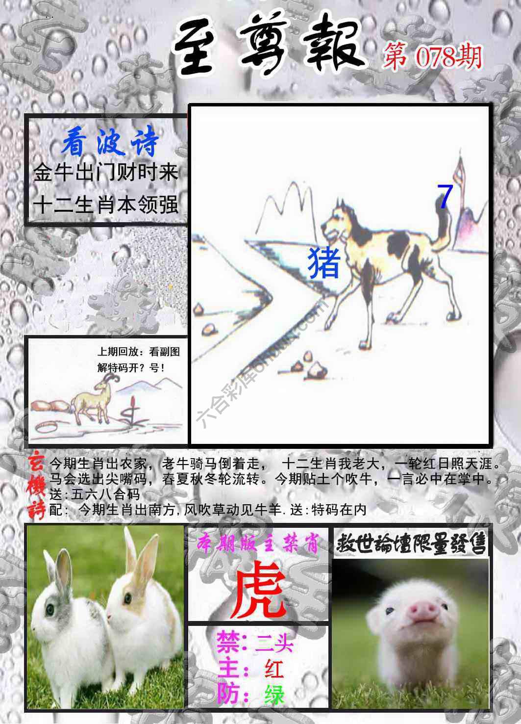 至尊报