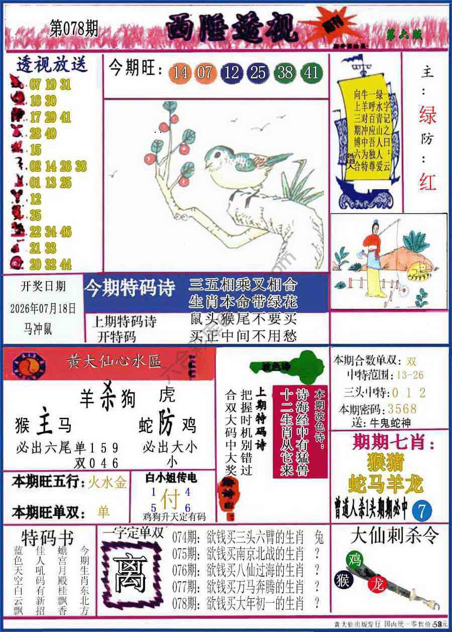 西陲透视（正版）