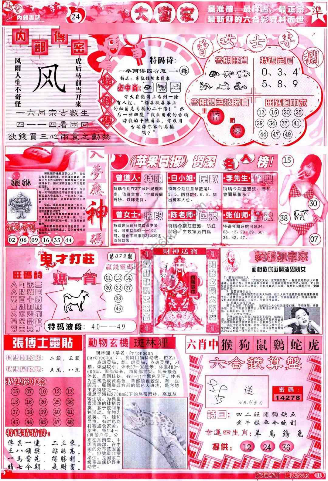 大当家