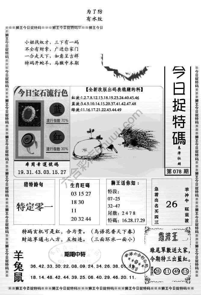 狮王今日抓特码