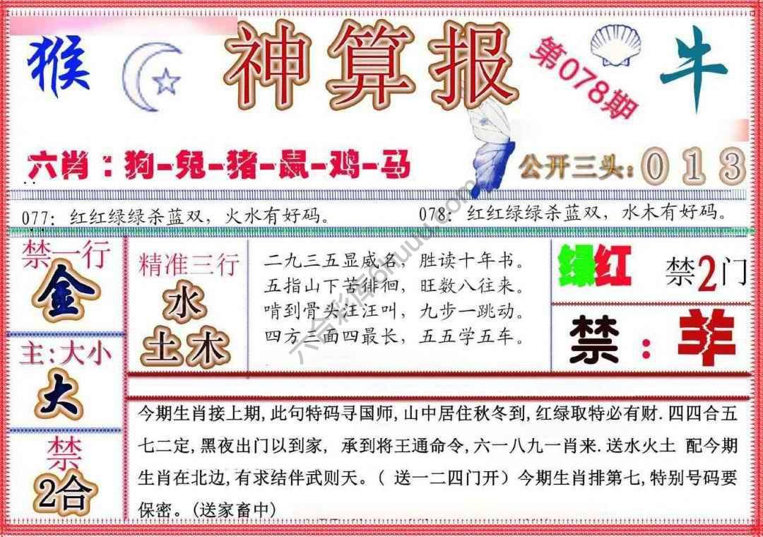神算报新版