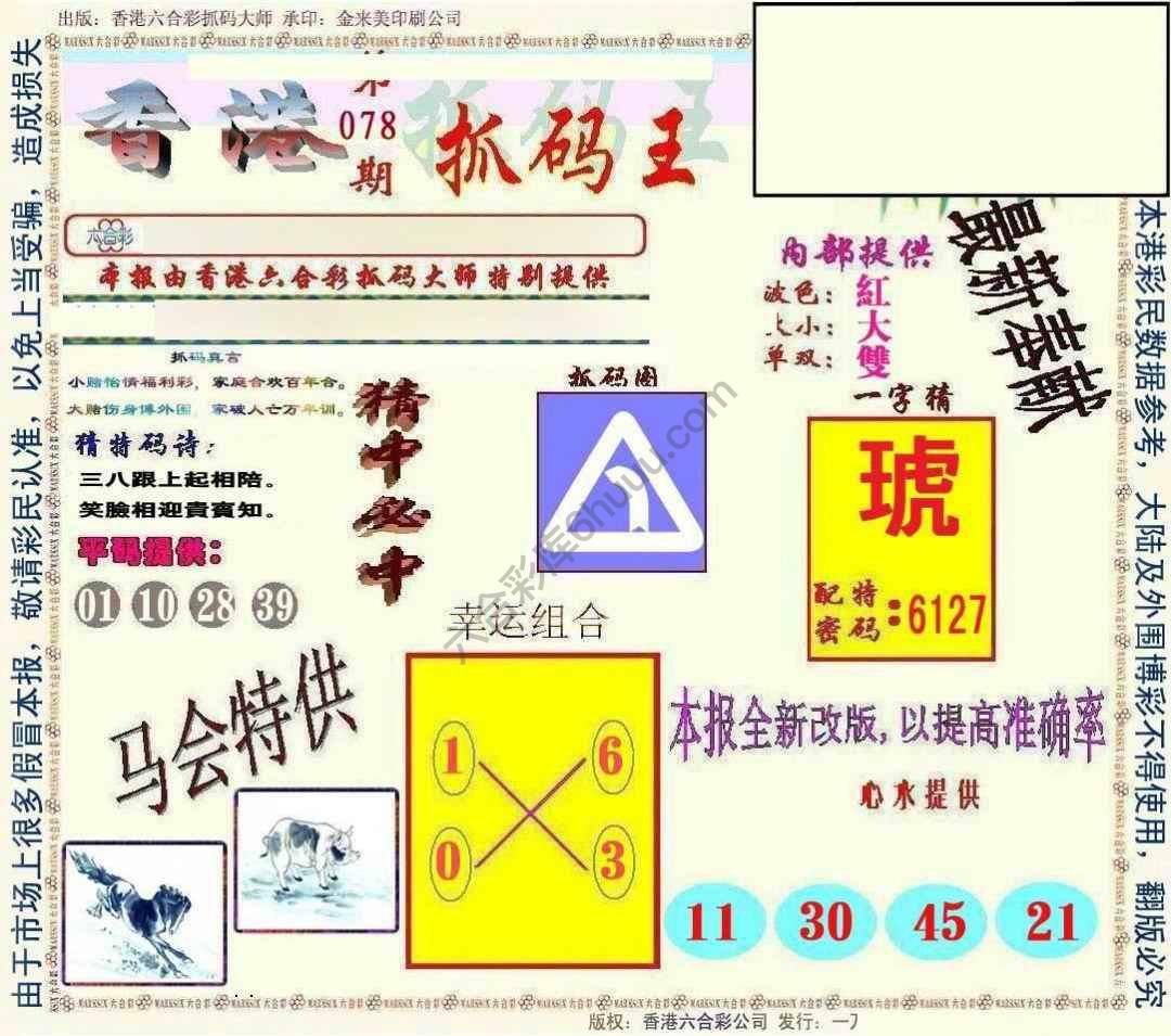 新抓码王