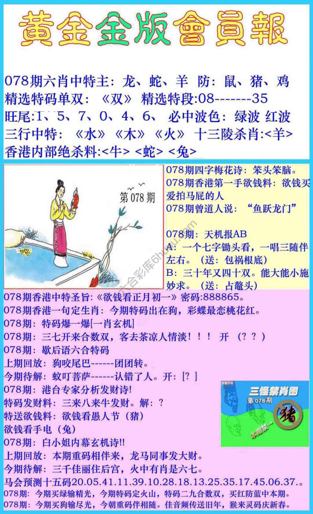 黄金金版会员报