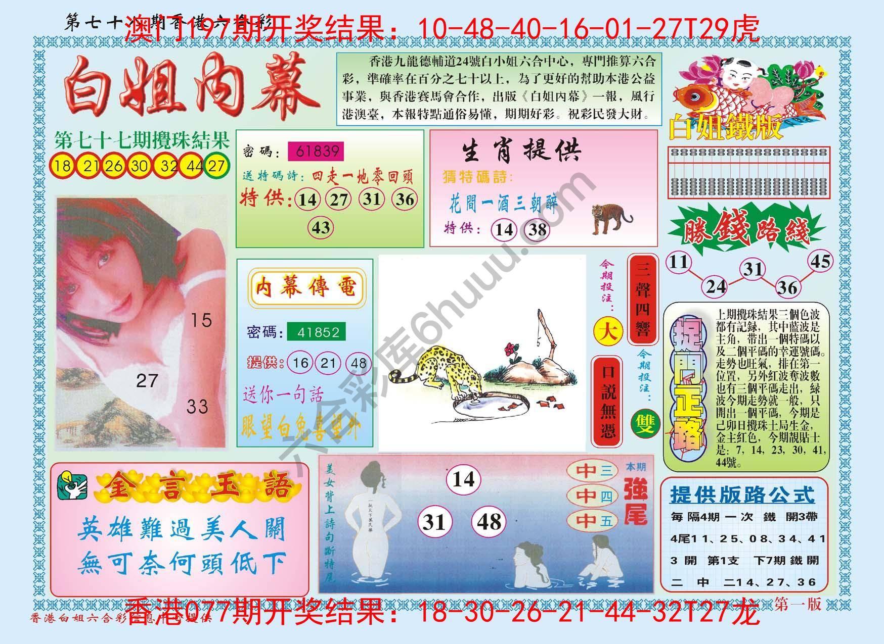 白姐内幕