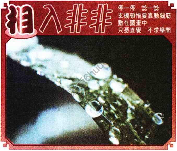 相入非非
