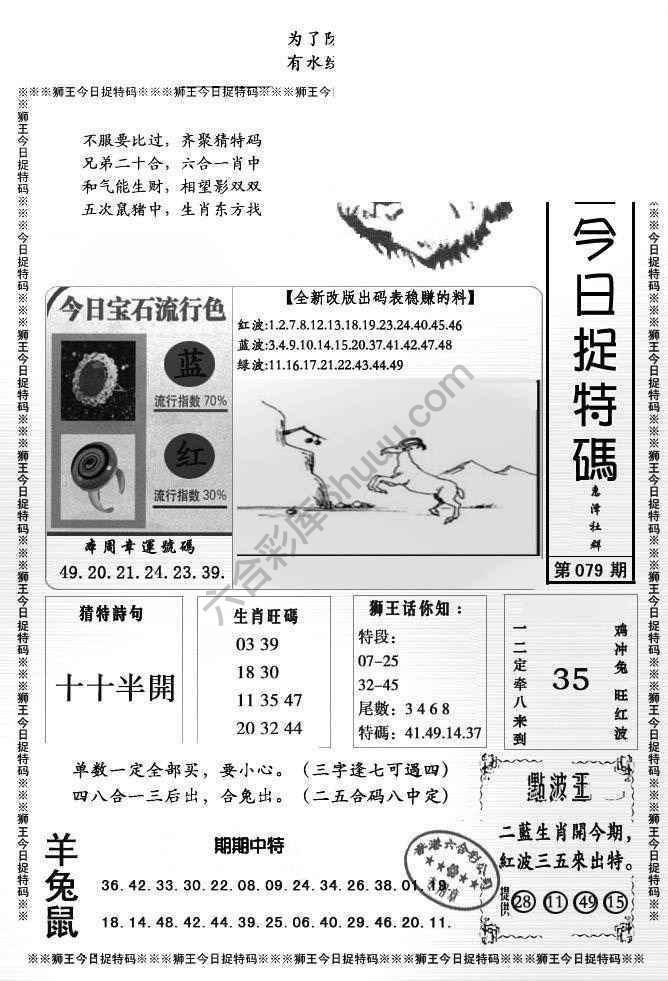 狮王今日抓特码
