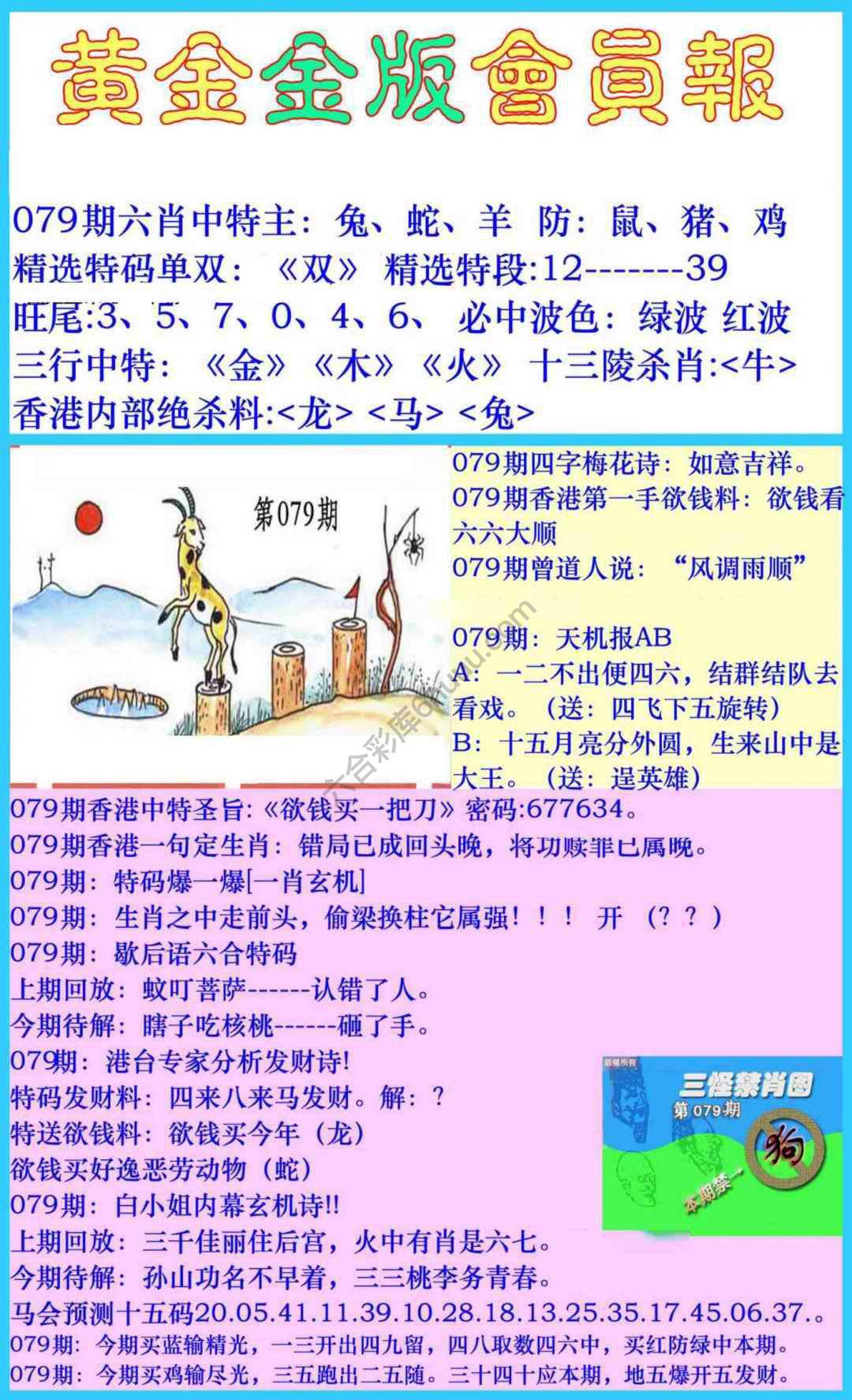 黄金金版会员报