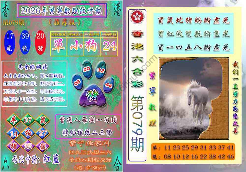 数理救世报