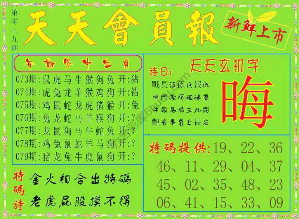 天天会员报